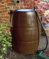 Rain Barrel