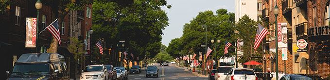 Cars on Road With Trees